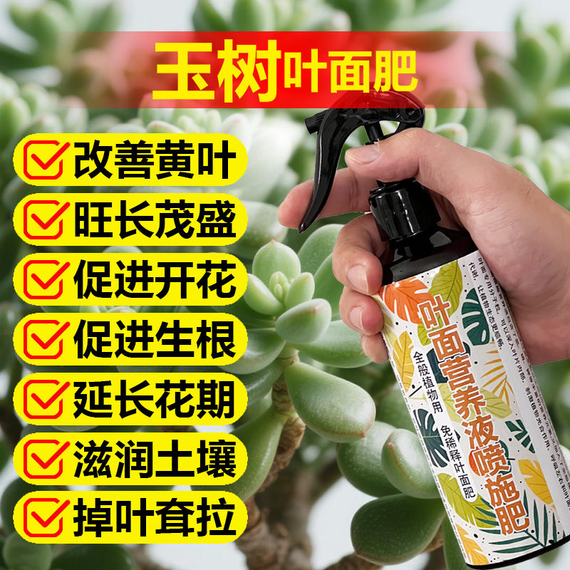 玉树专用肥料老桩多肉盆栽复合土壤营养液叶面肥叶面肥水溶化肥料