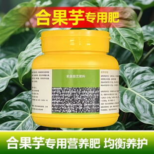 合果芋专用肥料盆栽种球花肥营养液旺长生根展叶茂盛长新叶面肥料