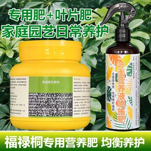 福禄桐专用肥料绿植羽叶福禄桐树盆栽营养液有机肥颗粒水溶化肥料