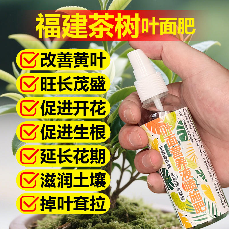 福建茶树专用肥料室内绿植盆景植物花卉盆栽营养液喷施肥新型肥料
