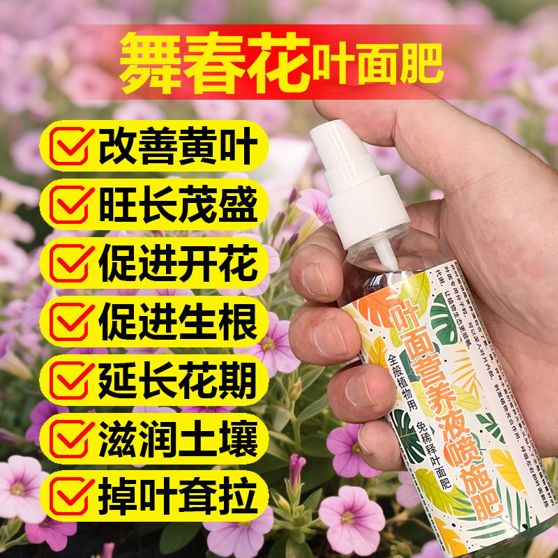 舞春花专用肥料养护花苗盆栽百万小玲花肥营养液叶面肥水溶化肥料