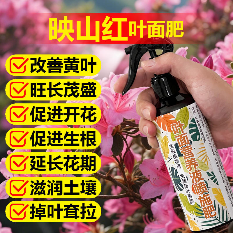 映山红专用肥料盆景树苗土壤营养液叶发黄尖焦枯萎锈斑垂叶面肥料