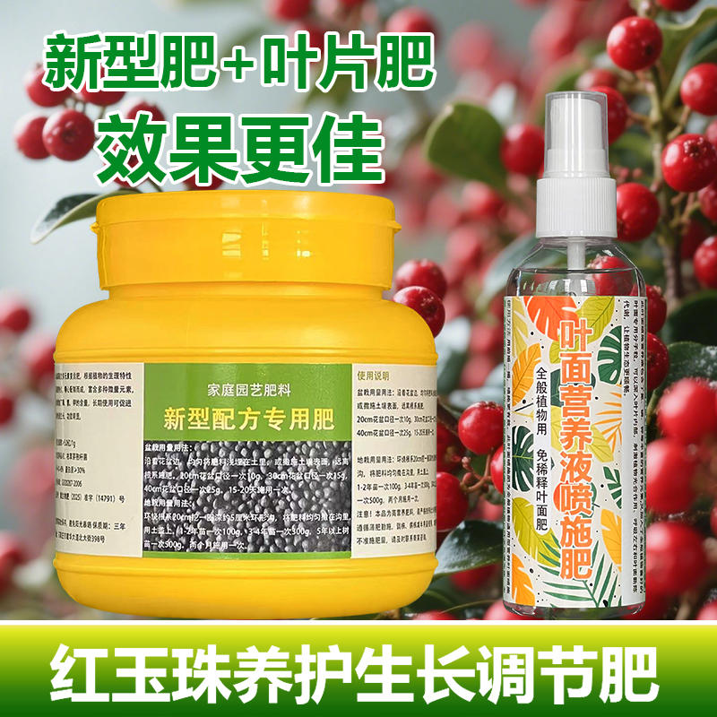 红玉珠专用肥料盆栽绿植营养液旺长爆盆保果茂盛促进结果叶面肥料