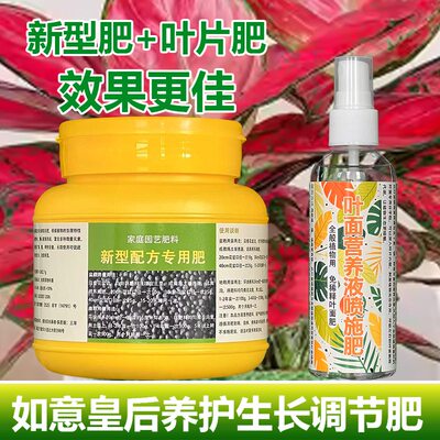 如意皇后专用肥料专用土培水培盆栽吉利红小苗营养液喷剂叶面肥料