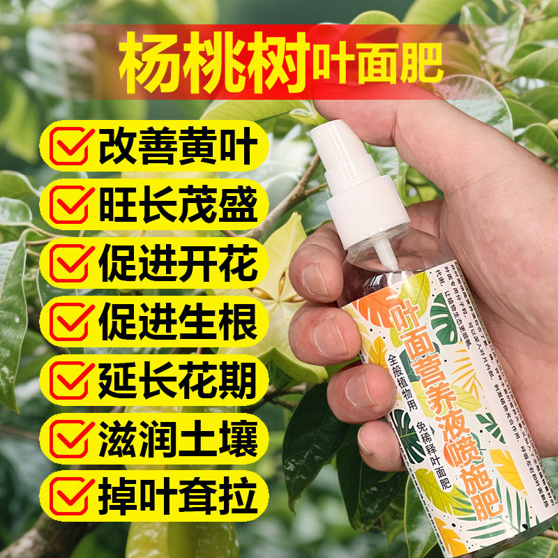 杨桃果树专用肥料盆栽种植杨桃树苗营养液氮磷钾颗粒浓缩有机肥料
