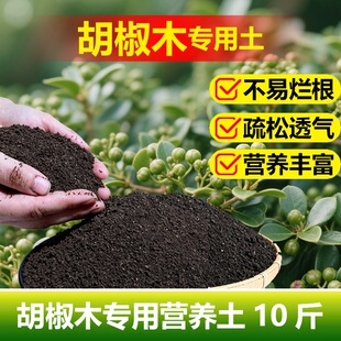 胡椒木专用土料绿植物清香木清香胡椒木盆栽土培养殖营养土花家用