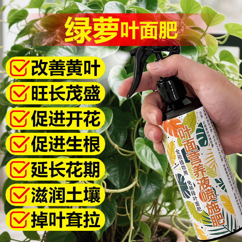 绿萝水培植物专用肥料室内盆栽绿植营养液水溶化肥绿箩禄萝肥肥料