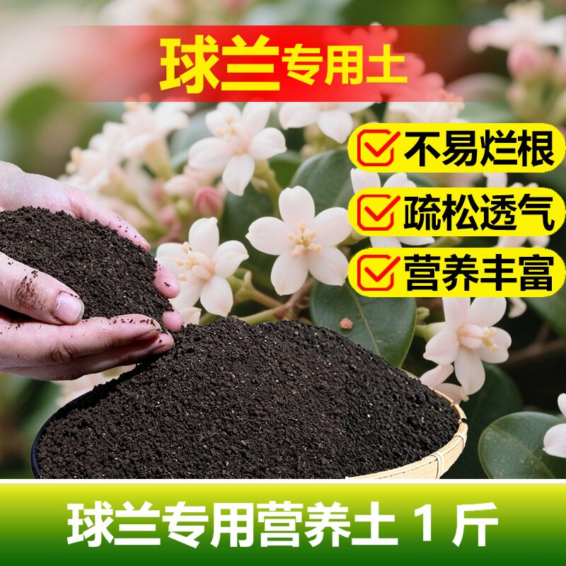 球兰专用土料吊兰爬藤花盆栽心叶专用土开花肥营养土花种植肥家用图片