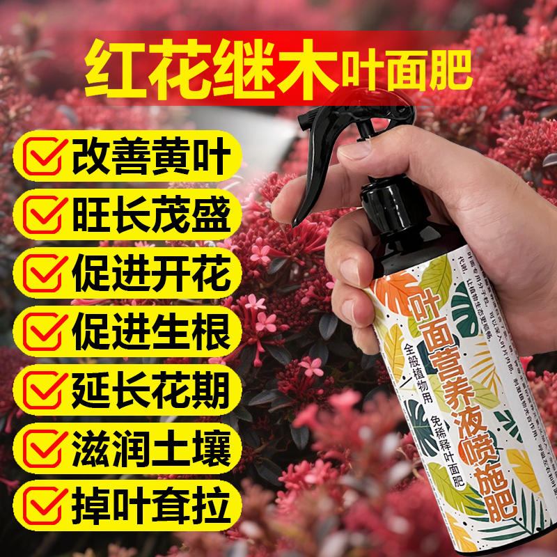 红花继木专用肥料树苗花盆景地栽专用土营养液叶面肥有机肥化肥料