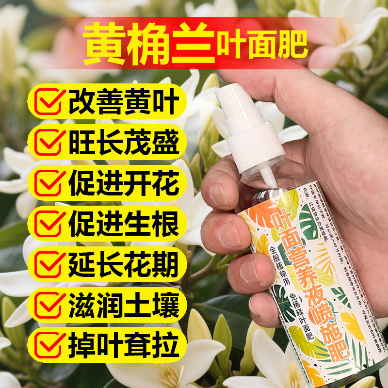 黄桷兰专用肥料大树苗白兰花肥土壤营养液叶面肥有机肥氮磷钾肥料