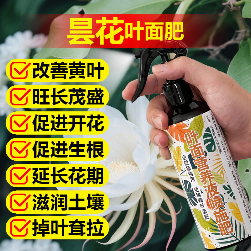 昙花专用肥料养殖种植开花树苗盆栽土壤营养液小叶面肥水溶化肥料