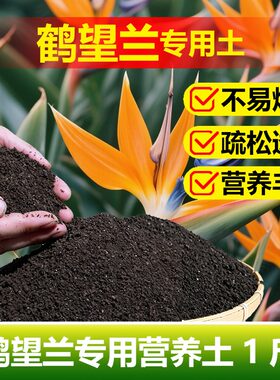 鹤望兰专用土料盆栽植物营养土挺拔立直长新叶开花天堂鸟绿植家用