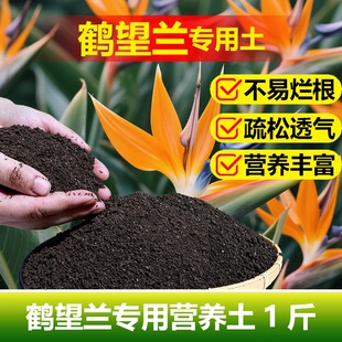 鹤望兰专用土料盆栽植物营养土挺拔立直长新叶开花天堂鸟绿植家用