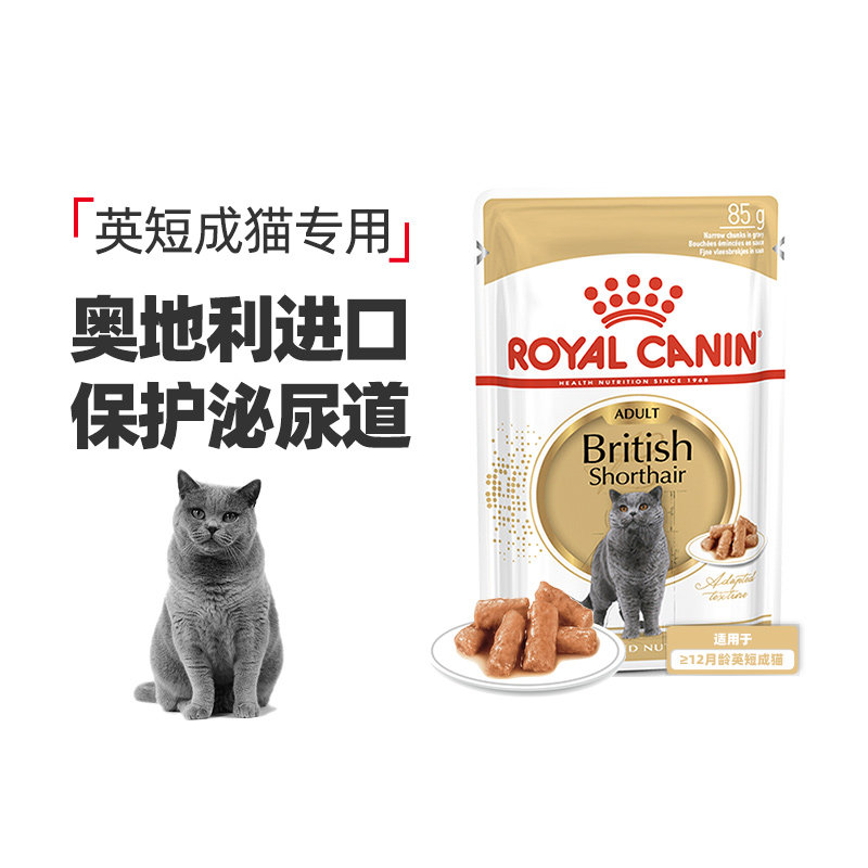 皇家 英国短毛猫成年期全价猫粮湿粮浓汤肉块英短营养