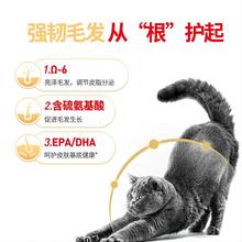 皇家猫粮英短成猫粮BS34蓝猫幼猫粮BSK38 试吃专用银渐层猫主粮