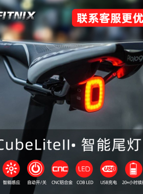 智能感应刹车尾灯骑行自行车公路车山地车usb充电警示灯xlite100