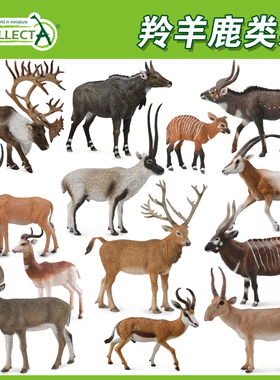 英国CollectA我你他野生动物草原森林模型玩具羚羊驯鹿偶蹄类合集