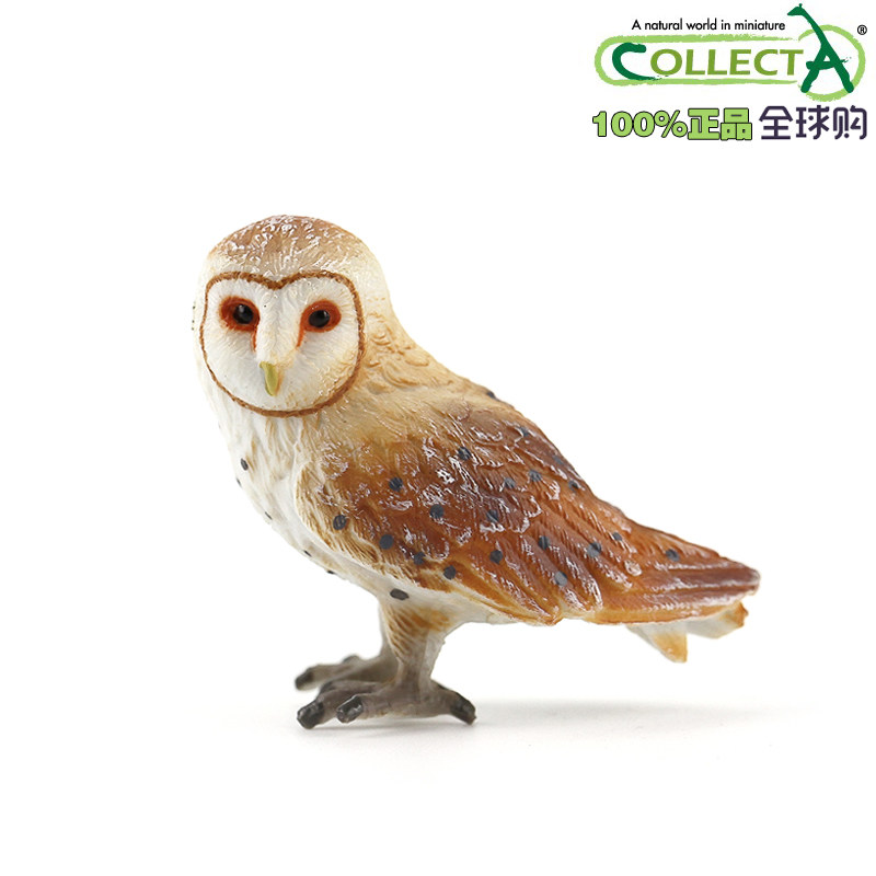 英国collecta我你他原装正版仿真野生鸟类模型88003猴面鹰