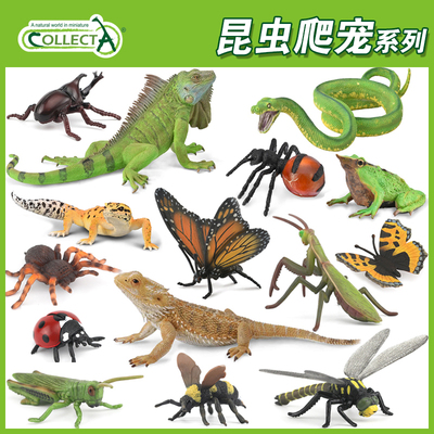 CollectA昆虫爬宠塑胶模型玩具