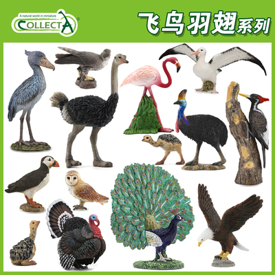英国我你他仿真野生飞鸟羽翅类