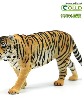 英国CollectA我你他原装正版仿真野生动物模型88789东北虎老虎