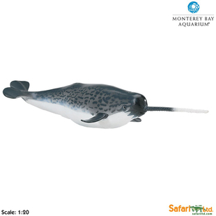 美国Safari原装 进口仿真海洋动物模型儿童玩具212202独角鲸 鲸鱼