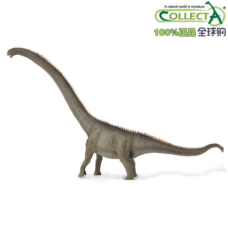 英国collecta我你他史前侏罗纪恐龙模型玩具88908马门溪龙2021款