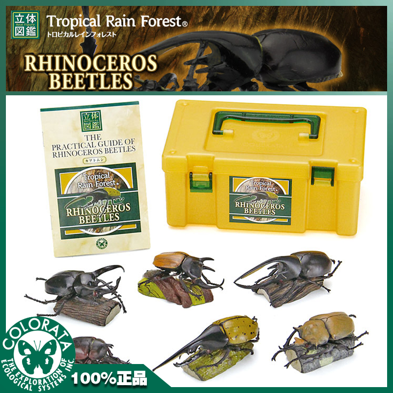 日本蝴蝶立体模型昆虫