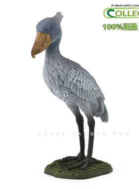 英国CollectA我你他仿真野生动物模型玩具 动物世界 88763鲸头鹳