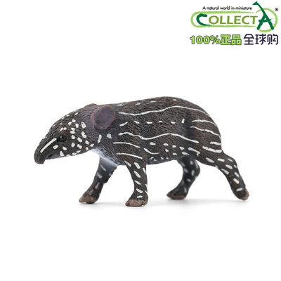 英国我你他仿真野生CollectA模型