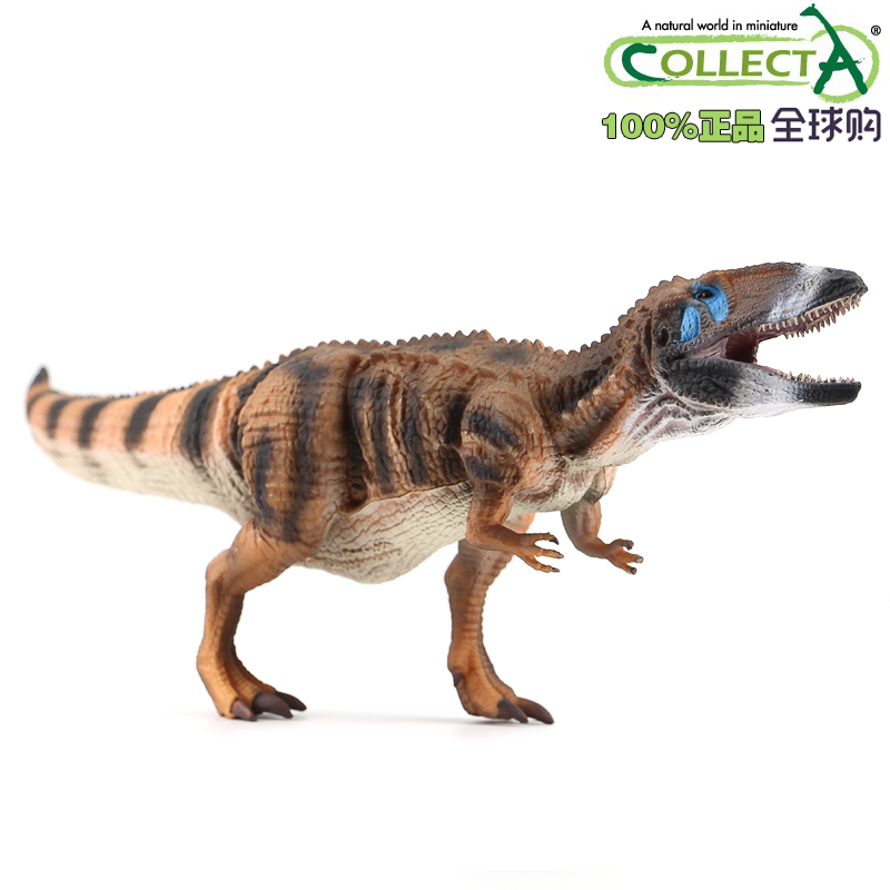 英国CollectA我你他仿真史前侏罗纪恐龙模型玩具88642鲨齿龙1:40