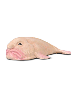 英国CollectA我你他海洋儿童认知动物模型玩具80037水滴鱼2025