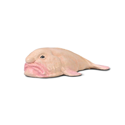 英国CollectA我你他海洋儿童认知动物模型玩具80037水滴鱼2025