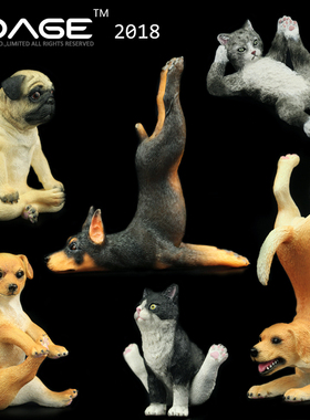 香港EDAGE伊甸纪猫狗 瑜伽体操动物系列雕塑树脂创意汽车摆件礼物