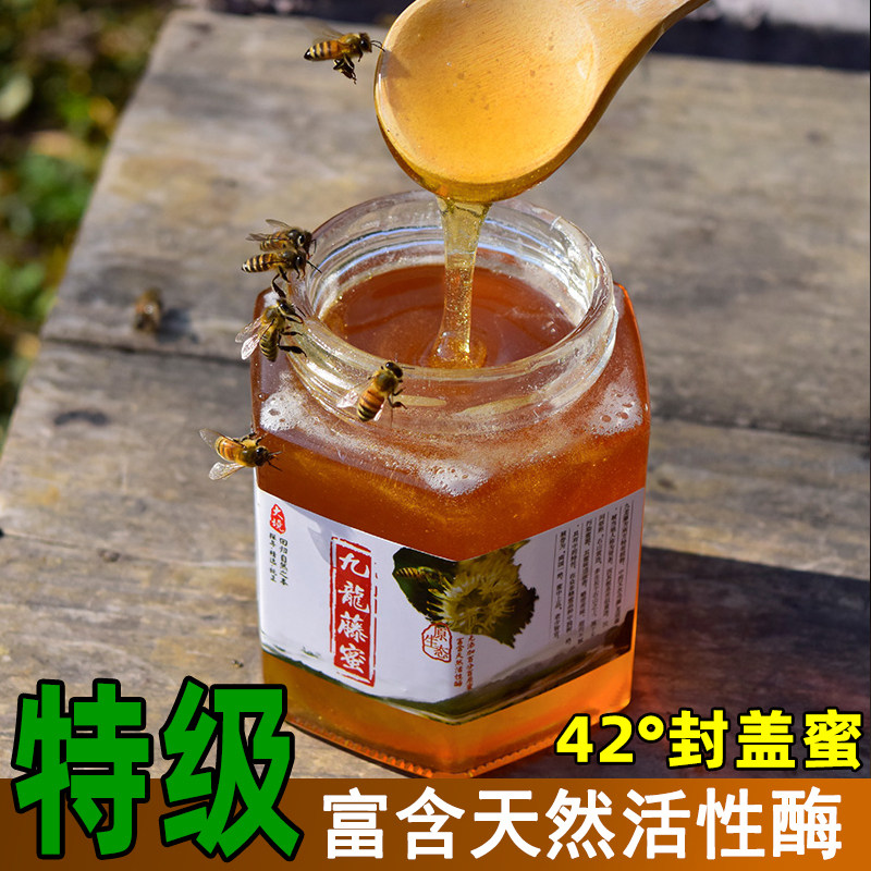 广西深山一级蜂蜜无添加纯正 柑橘土蜂蜜九龙藤蜜新鲜天然蜂蜜2斤