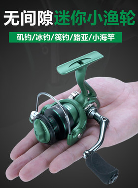 纺车轮渔轮路亚掌中宝迷你小鱼轮