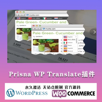 Prisna WP Translate 多功能制作精美多合一翻译WordPress插件
