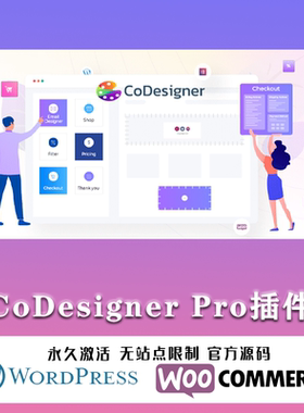 CoDesigner Pro 汉化中文版 自定义Elementor扩展小工具插件