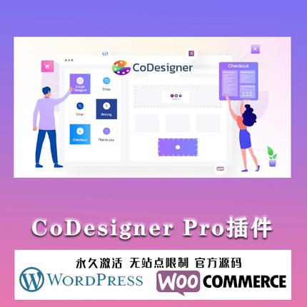 CoDesigner Pro 汉化中文版 自定义Elementor扩展小工具插件