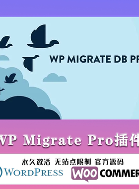 WP Migrate Pro 专业版 简单一键式迁移备份搬家WordPress插件