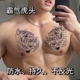 霸气双虎头草本纹身贴半永久线条手臂胸前持久男女肚子刺青不反光