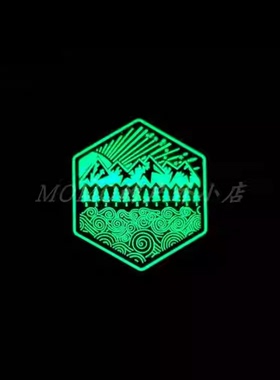 正品现货 PDW All Terrain GID PVC Morale 夜光限量版臂章