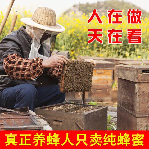 蜂蜜农家自产天然百花蜜成熟洋槐蜜纯正深山野生土蜂蜜在类目 传统滋补营养品, 蜂蜜中 - 来自Buy2taobao.com提供专业的淘宝代购服务