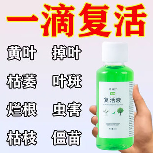 植物通用复活液针对发黄掉叶植物复活液盆栽复活液花卉再生液