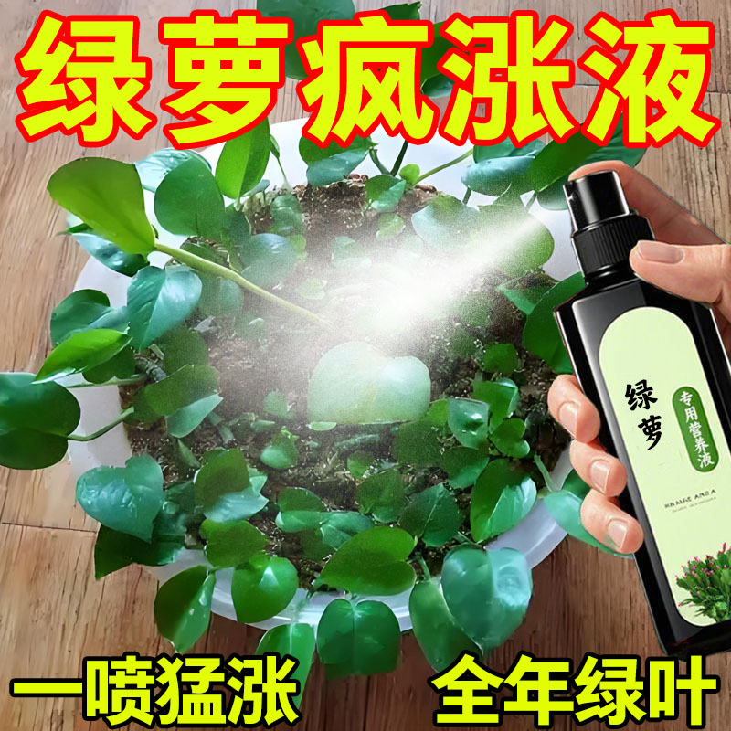 绿萝专用营养液肥料催长叶催生根防黄叶烂根黑斑掉叶家用免稀释肥