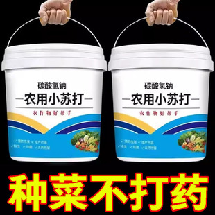 农用小苏打阳台种菜防虫药防治病害正品 蔬菜驱蚊杀虫花卉除虫杀菌