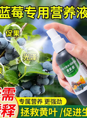 蓝莓营养液蓝莓专用肥料黄叶变绿叶调酸有机肥复合肥盆栽蓝梅树肥
