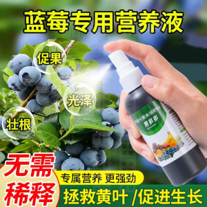 蓝莓营养液蓝莓专用肥料黄叶变绿叶调酸有机肥复合肥盆栽蓝梅树肥