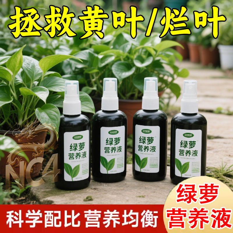 绿萝营养液植物通用型花肥料