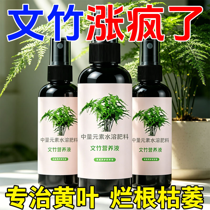 文竹专用营养液治黄叶免稀释